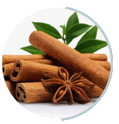 neuro surge ingredient